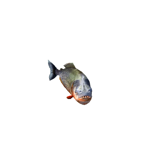 Piranha