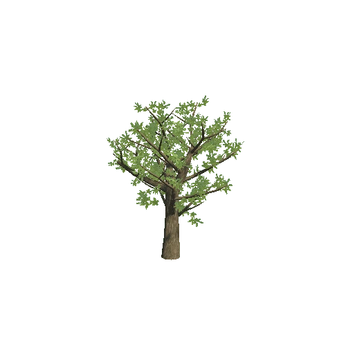 tree_U5