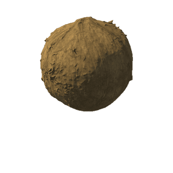 Coconut01