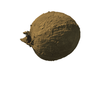 Coconut02