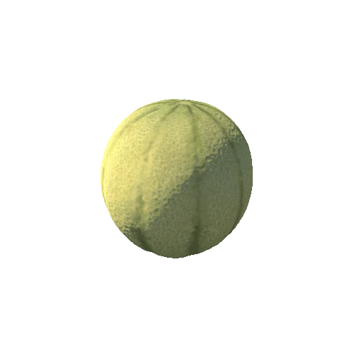 Melon01