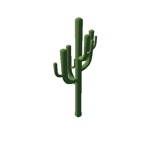 cactus_01_01