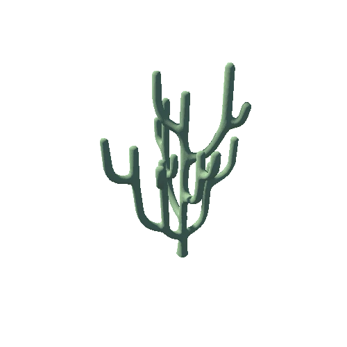 cactus_03_01