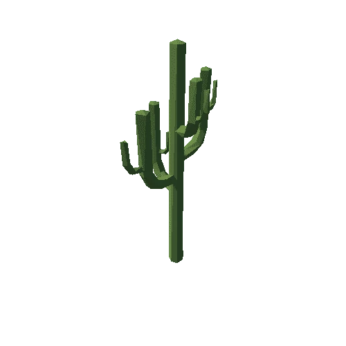 cactus_F01