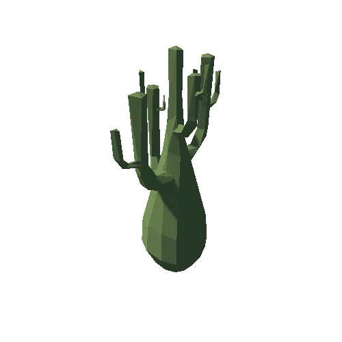 cactus_F02