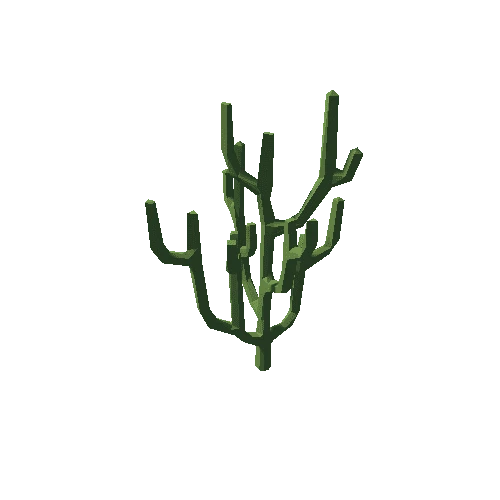 cactus_F03