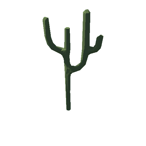 cactus_F04