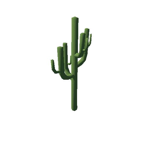 cactus_L01