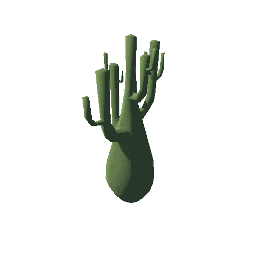 cactus_L02