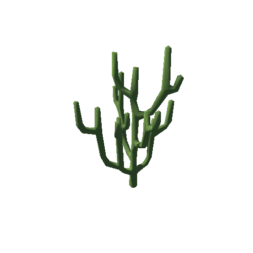 cactus_L03