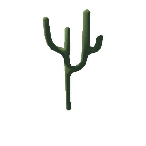 cactus_L04