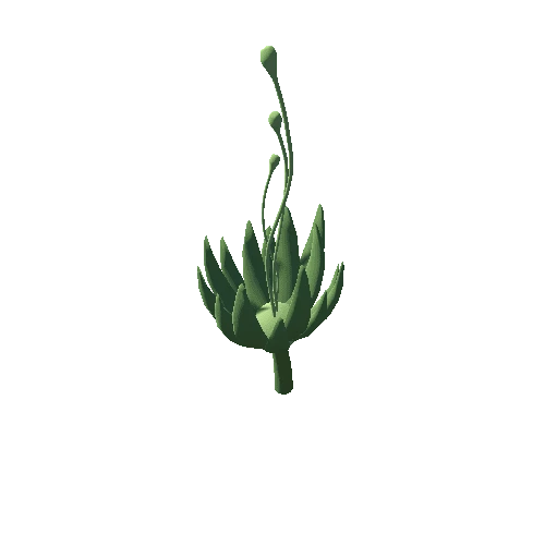 plant_10_01