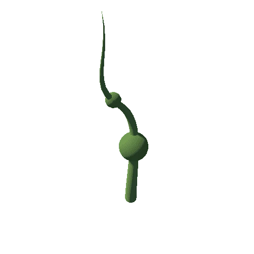 plant_13_01