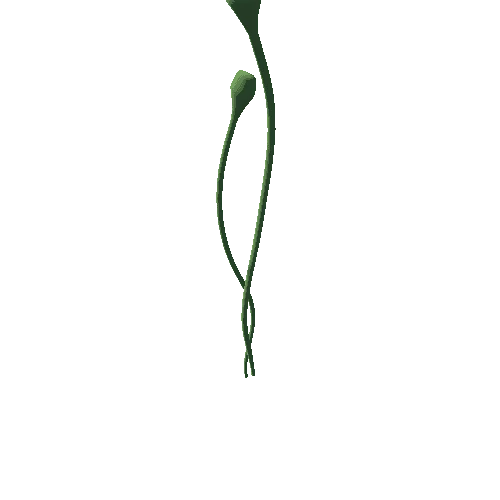 plant_17_01