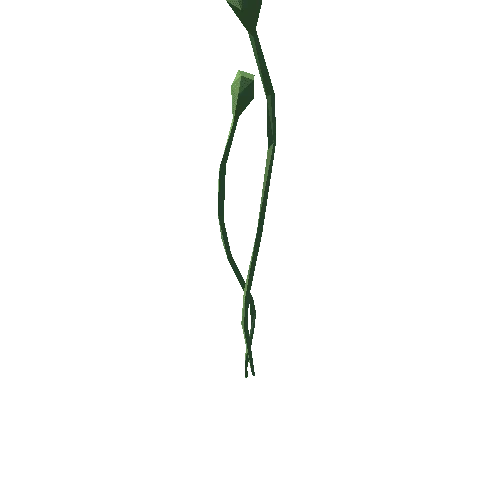 plant_F17