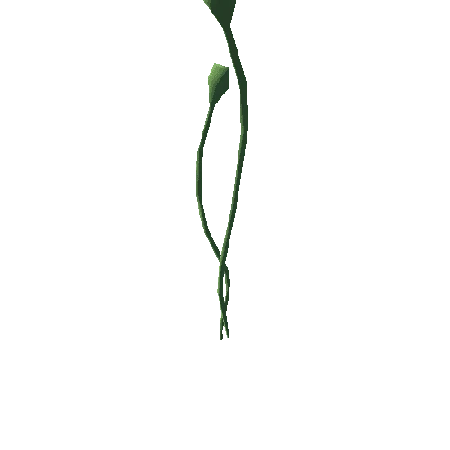 plant_L17