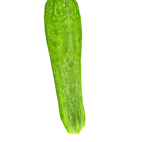 Cucumber