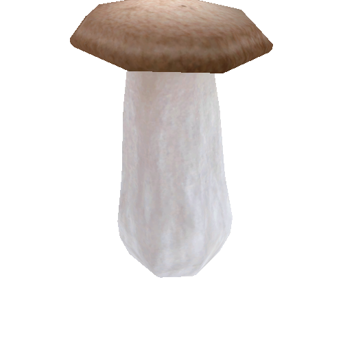 Mushroom_01