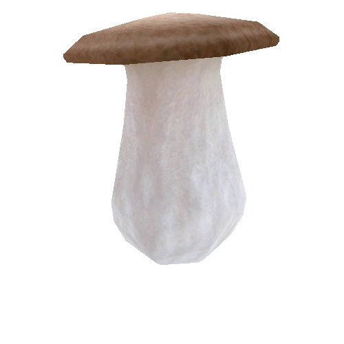 Mushroom_02