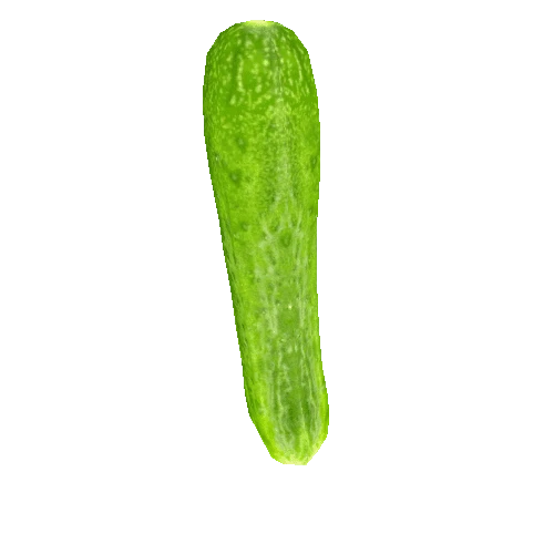 Cucumber