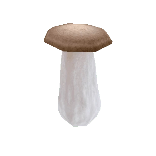 Mushroom_01