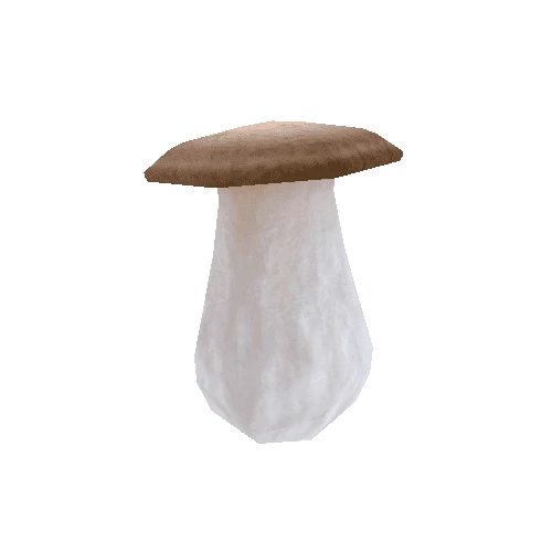 Mushroom_02