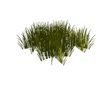 grass2