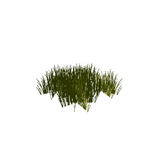 grass2