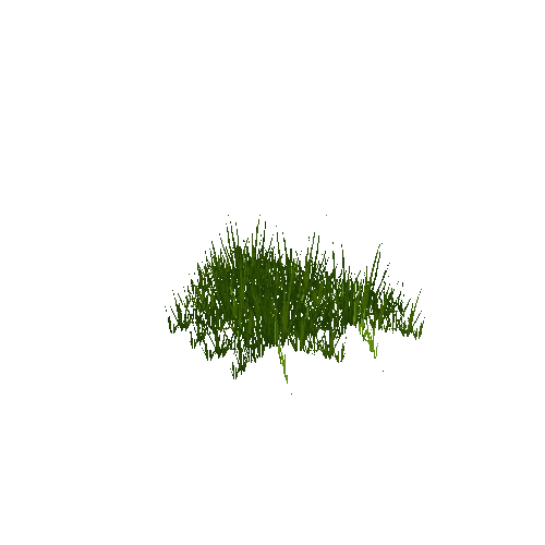 grass3