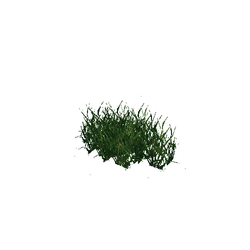 grass4