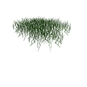 grass5