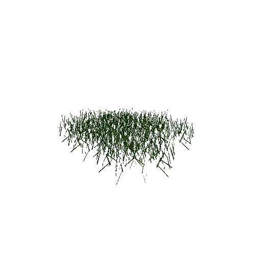 grass5