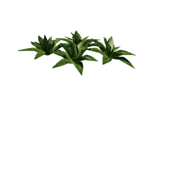 plant3