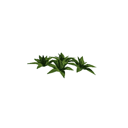 plant3