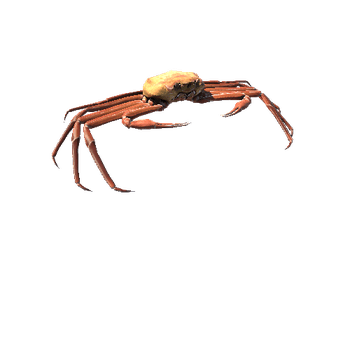 CrabModel