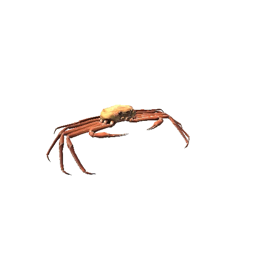 CrabModel