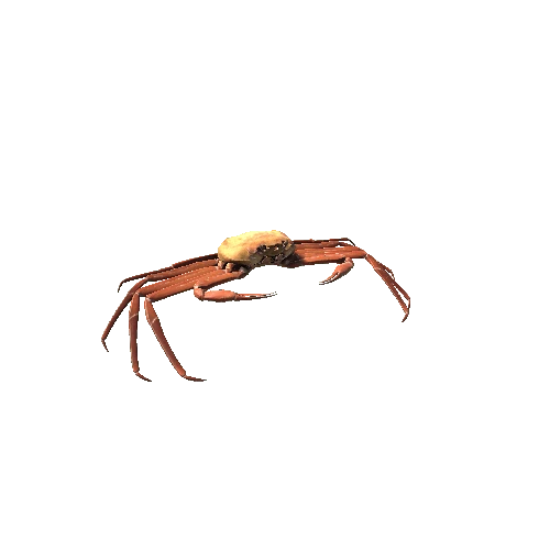 TwoLODCrab