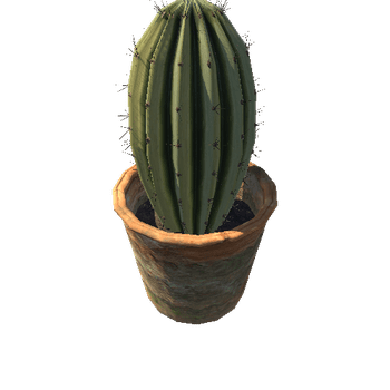 Cactus_A