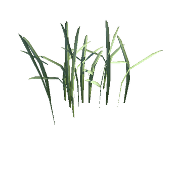 grass_B_2