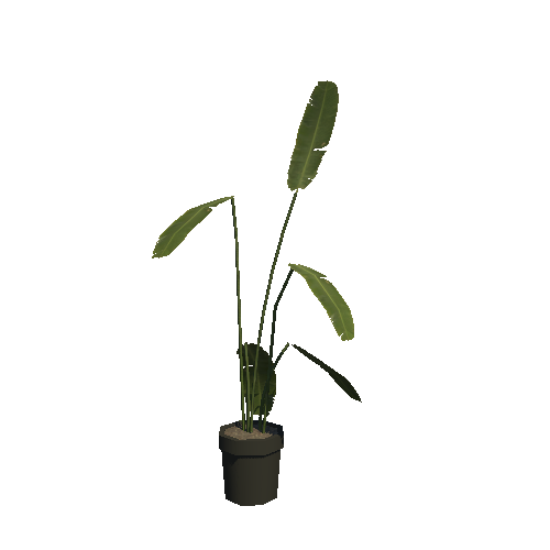 house_plant01