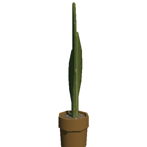 house_plant02