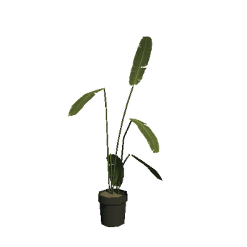 house_plant01