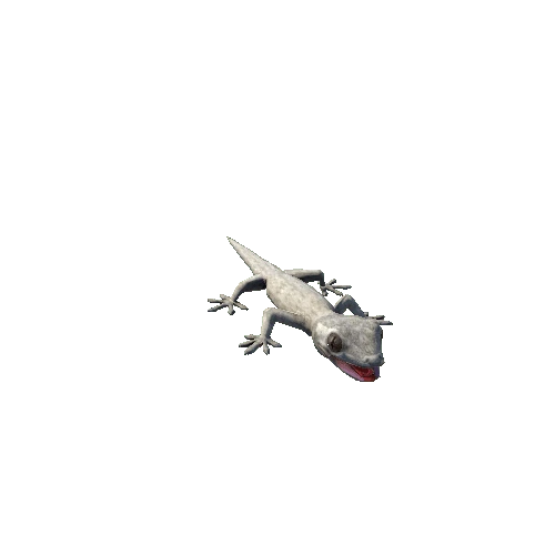 GeckoModel