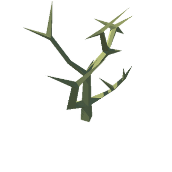 Plant_05_03