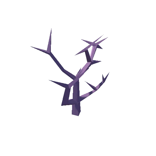 Plant_05_04