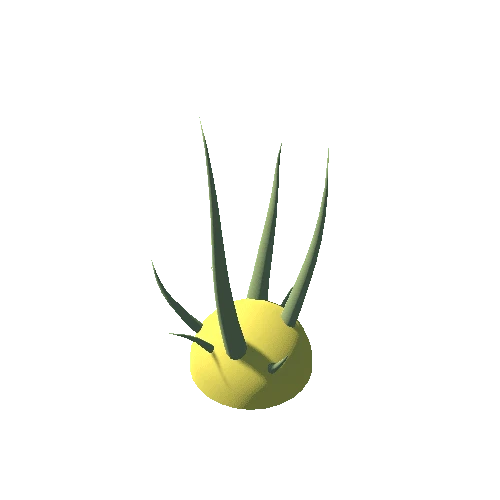 Plant_07_03