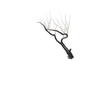 Tree_3