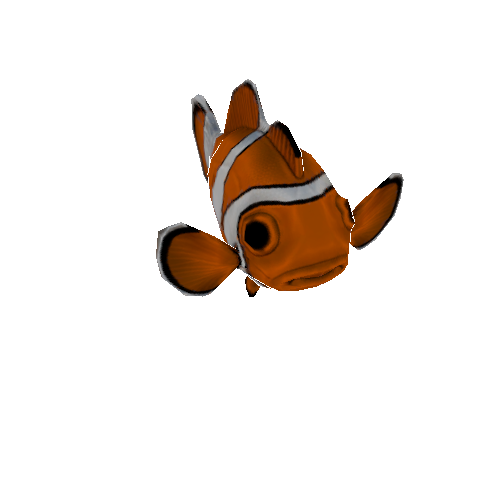 ClownFish_SK_PF