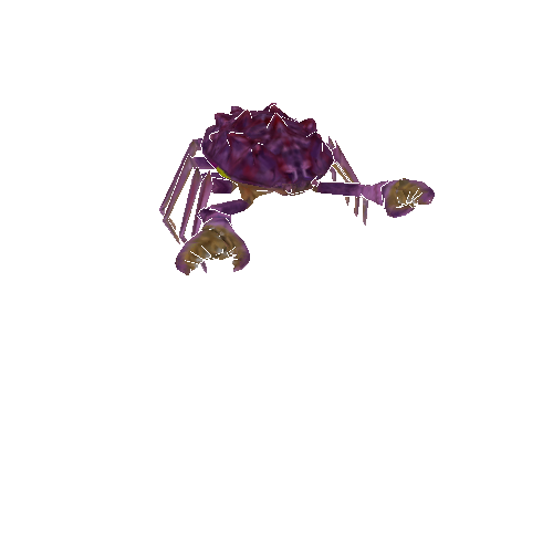 Crab_SK_PF