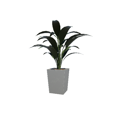plant_2